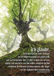 Dietrich Bonhoeffer - Postkarten: Ich glaube, dass uns Gott, 12 Stück Postkarten: Ich glaube, dass uns Gott, 12 Stück