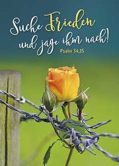 Psalm 34,15 - Jahreslosung 2019 - Poster A3 Jahreslosung 2019 - Poster A3