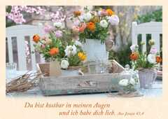 Postkartenserie "Du bist kostbar" 12 Stk. Postkartenserie "Du bist kostbar" 12 Stk.