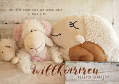 Faltkarte "Willkommen kleiner Schatz" - Kuscheltiere Faltkarte "Willkommen kleiner Schatz" - Kuscheltiere