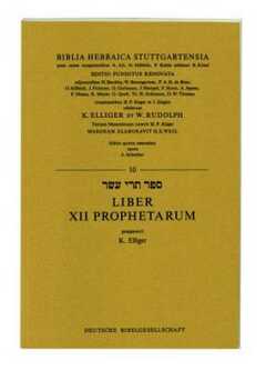 Biblia Hebraica Liber XII Prophetar