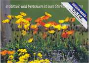 Postkarten Mohn, 6 Stück Postkarten Mohn, 6 Stück