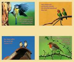 Postkartenserie Vögel, 12 Stück