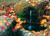 Faltkarten Herbstidylle, 5 Stück