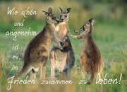 Postkarten - Wie schön und angenehm ist es ... - 8er Set Postkarten - Wie schön und angenehm ist es ... - 8er Set