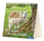K.-H. Nill - Ein Leben für die Schafe 2021 - Tischkalender Ein Leben für die Schafe 2021 - Tischkalender