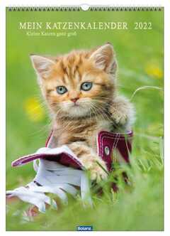 Mein Katzenkalender 2021 Mein Katzenkalender 2021