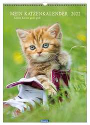 Mein Katzenkalender 2021 Mein Katzenkalender 2021