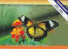Postkarten Schmetterling, 6 Stück