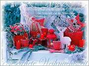 Mini-Spruchkartenserie Gesegnete Weihnachtszeit - 12 Stück Mini-Spruchkartenserie Gesegnete Weihnachtszeit - 12 Stück