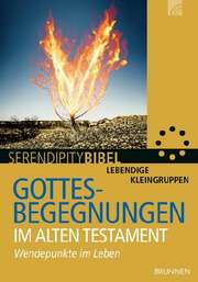 Serendipity Bibel: Gottesbegegnungen im Alten Testament