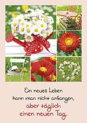 Postkarten: Ein neues Leben, 12 Stück Postkarten: Ein neues Leben, 12 Stück