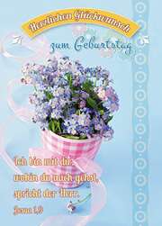Postkarten Geburtstag - 6 Stück Postkarten Geburtstag - 6 Stück